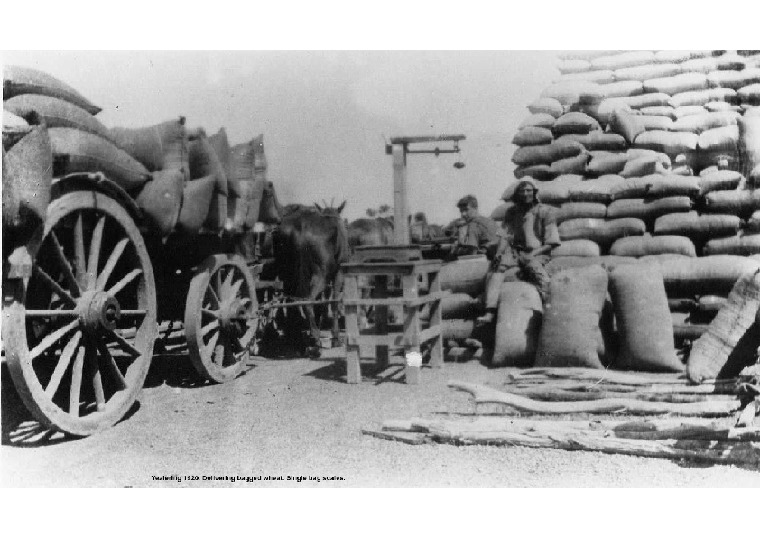 YF8: Delivering bagged wheat. Single bag scales