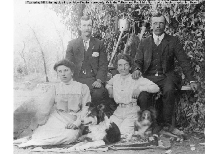 YP1: During clearing on Albert Walton's property. Mr & Mrs Tatham and Mr & Mrs Norris with a bush camp behind them, 1913