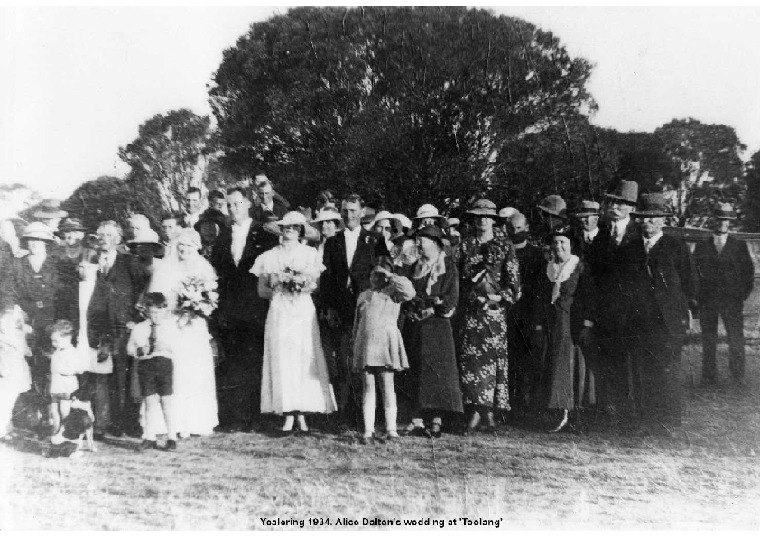 YP25: Alice Dalton's wedding at 'Toolang', 1934