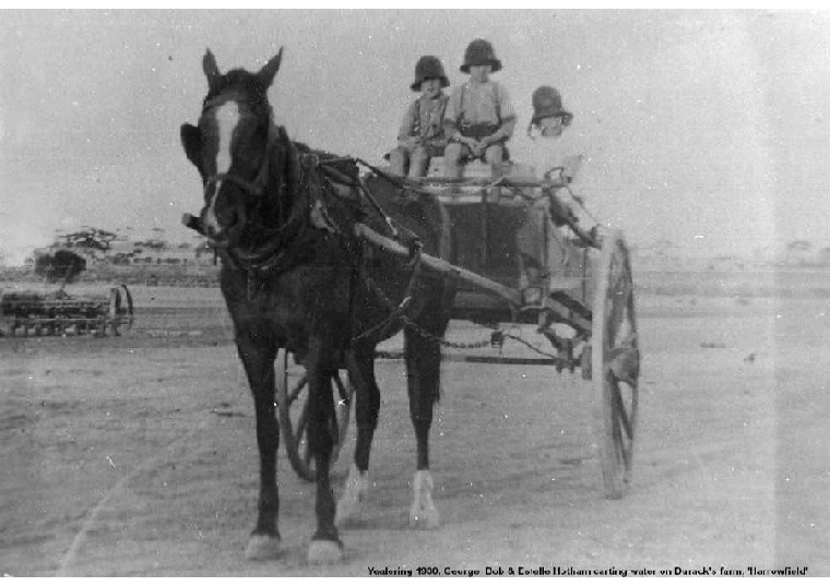 YP36: George, Bob & Estelle Hotham carting water on Durack's farm, 'Harrowfield', 1930