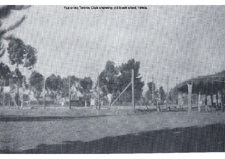 YRP32: Yealering Tennis Club showing old bush shed, 1940s