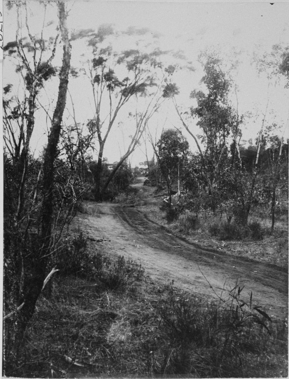 Old Harbour Road, Ravensthorpe. - State Library of Western Australia