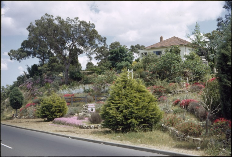 Omaroo house and garden, Greenmount, 22 October 1967. State Library of Western Australia