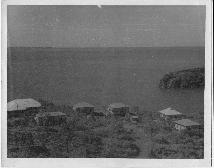 BA2606/12: Elevated view of houses, Cockatoo Island