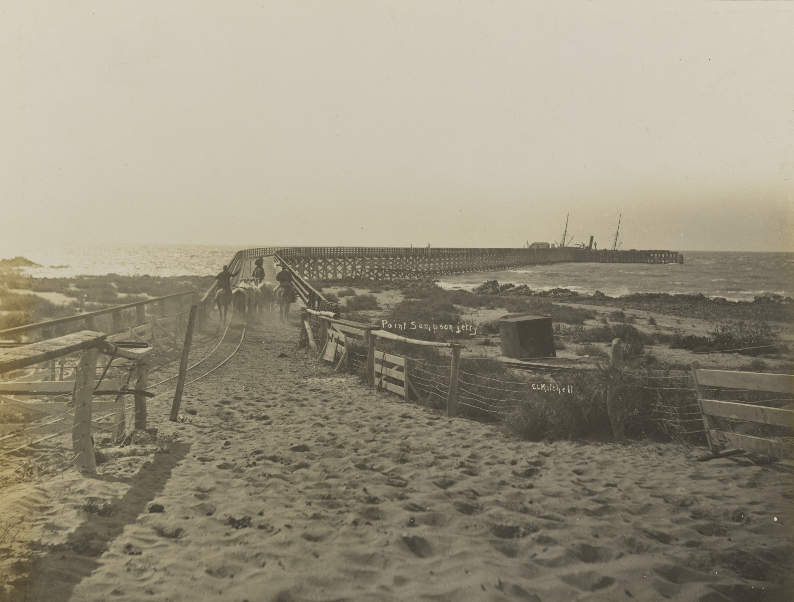Herding cattle along the Point Samson Jetty. State Library of Western