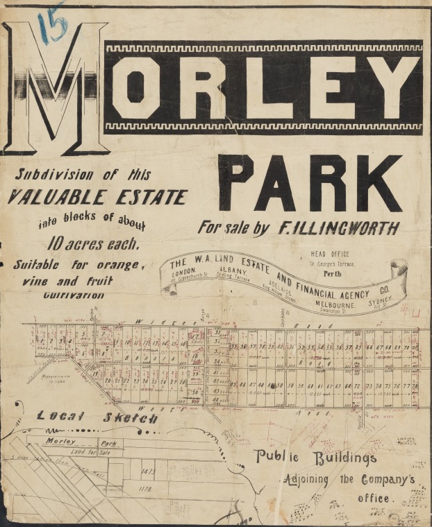 Morley Park. JPG 160.1 KB