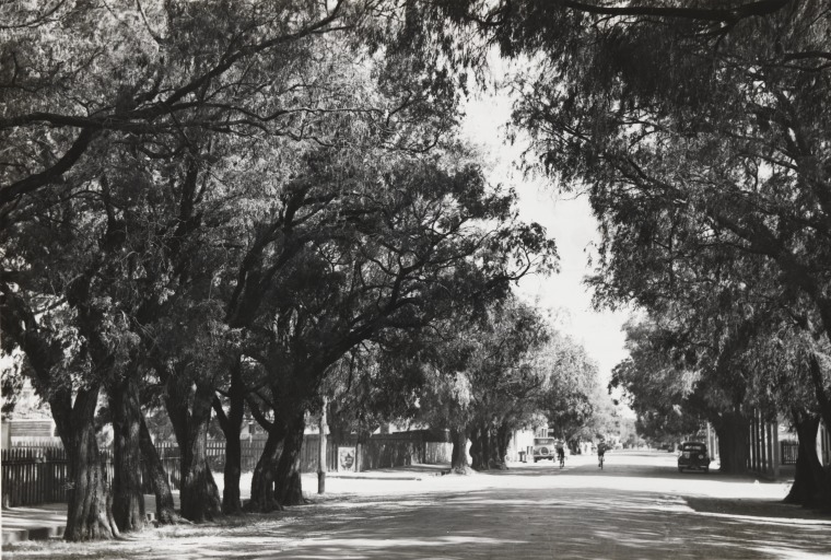 Queen Street, Busselton, November 1936. - State Library of Western ...