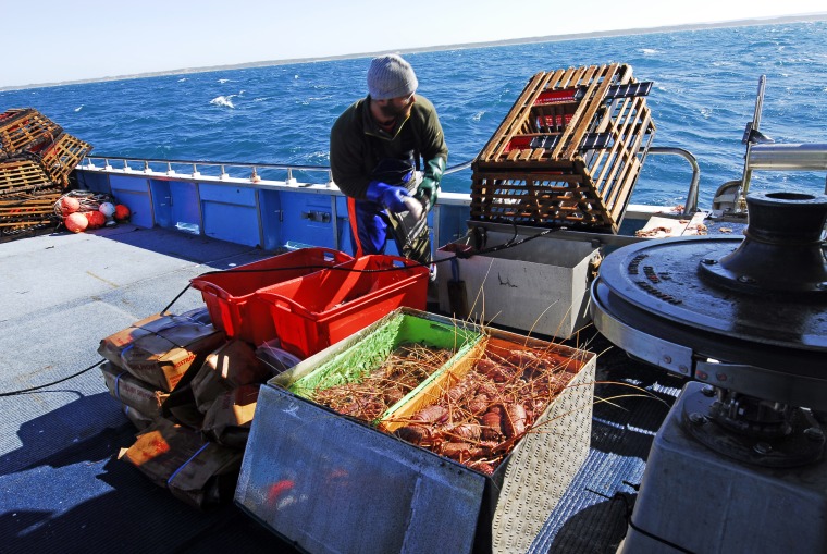 Cray fishing in the Abrolhos Islands. - JPG 157.0 KB