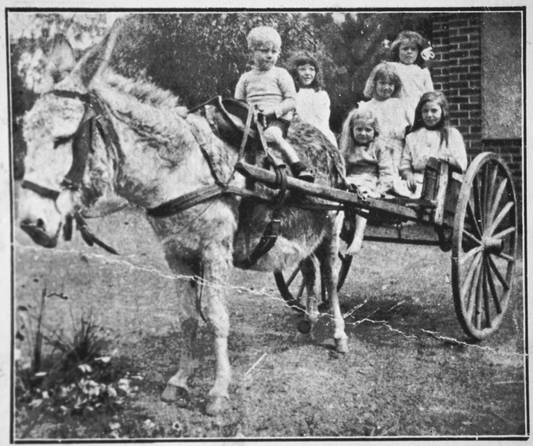 129333PD: Children riding a donkey cart, Parkerville Children's Home ...