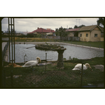Old Rockingham Hotel Swans at the Rockingham Hotel, September 1961.