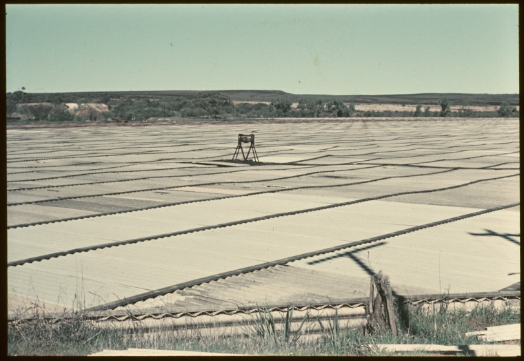 Wicherina dam covered in corrugated iron, Western Australia. - JPG 110.4 KB