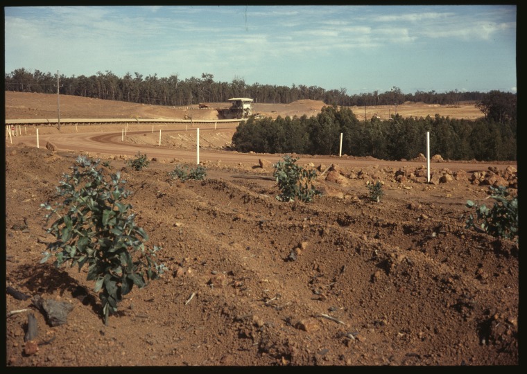 Del Park bauxite mine land reclamation, Western Australia. State