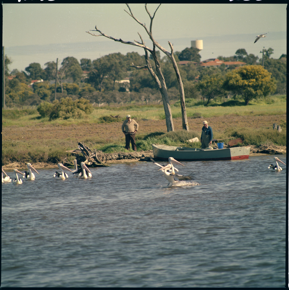 Fishing and boating on the Mandurah Estuary, 25 September 1984. State