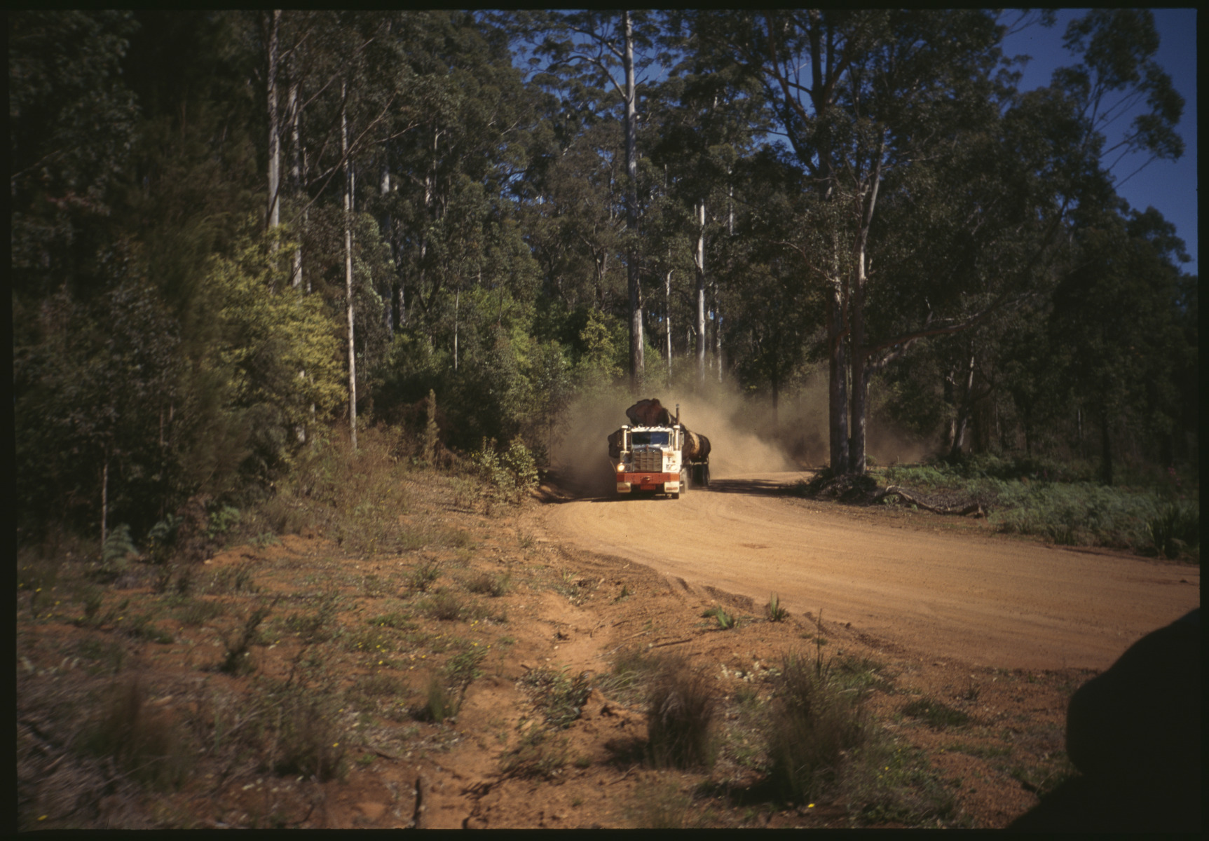 Logging truck on a dirt road in a forest, Northcliffe / Pemberton area